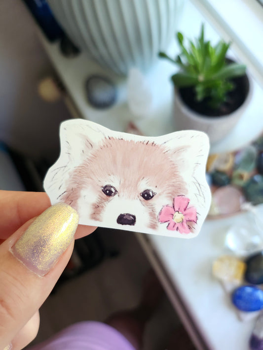 Rød panda peekaboo klistermærke