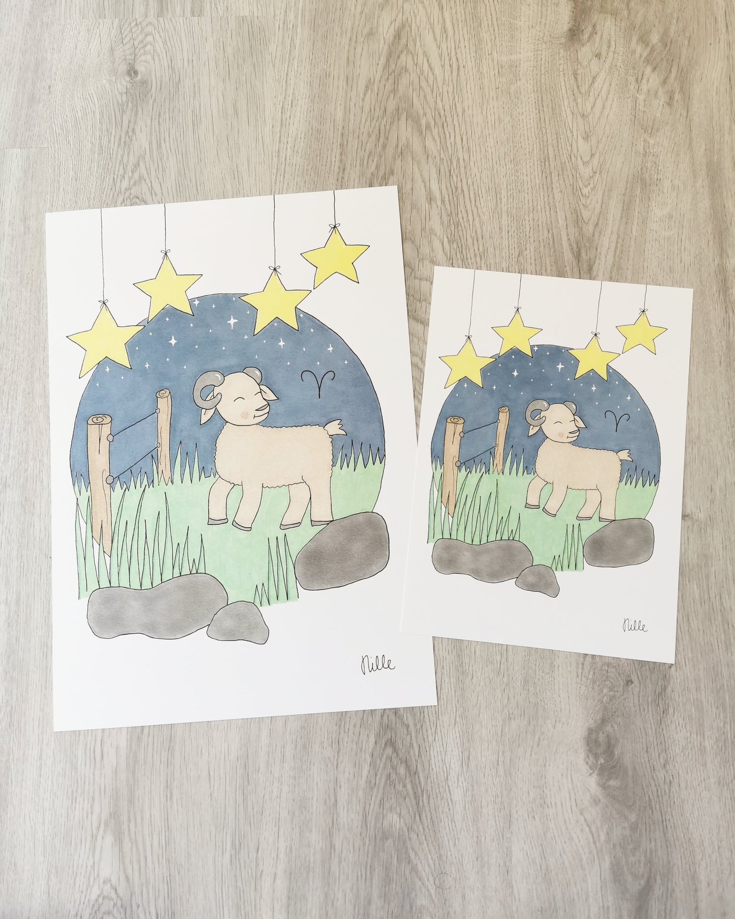 Fødsels illustration vædder