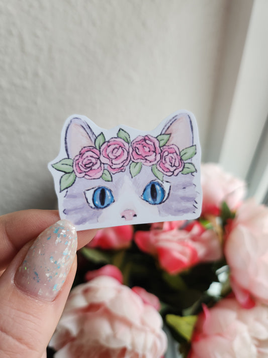 Kat peekaboo klistermærke